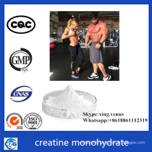 Wholesale N-Amidinosarcosine Creatine Monohydrate Powder